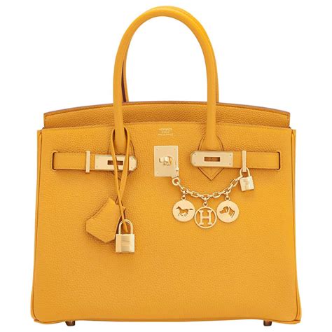 hermes ambre bag